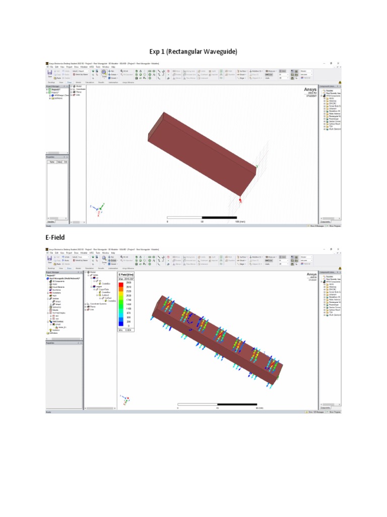 MW Lab Observations (EP306) PDF
