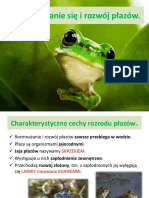 Prezentacja - Rozmnażanie Się I Rozwój Płazów.