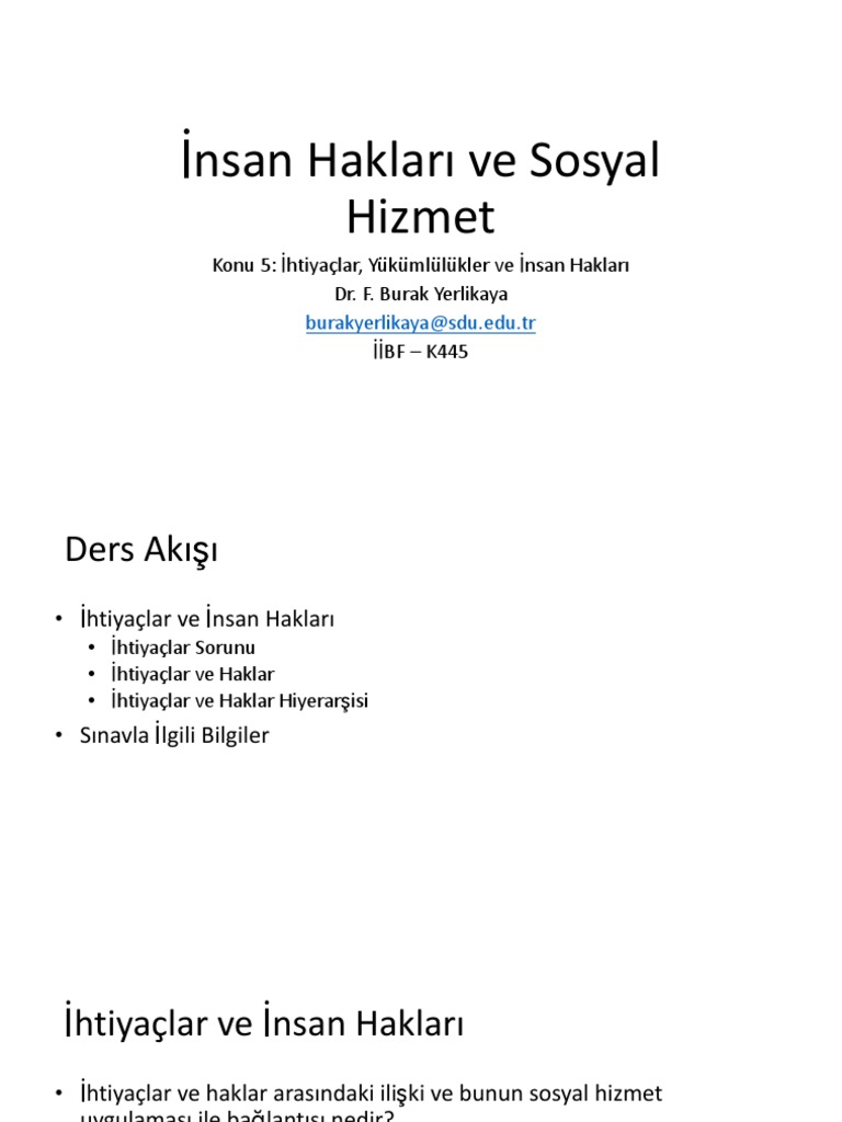İnsan Hakları Ve Sosyal Hizmet | PDF