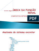 Compostos nitrogenados de excreção renal