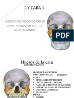 Craneo Y Cara 1: Huesos Del Viscerocraneo Prof. DR Ramon Miguel Acosta Ramos