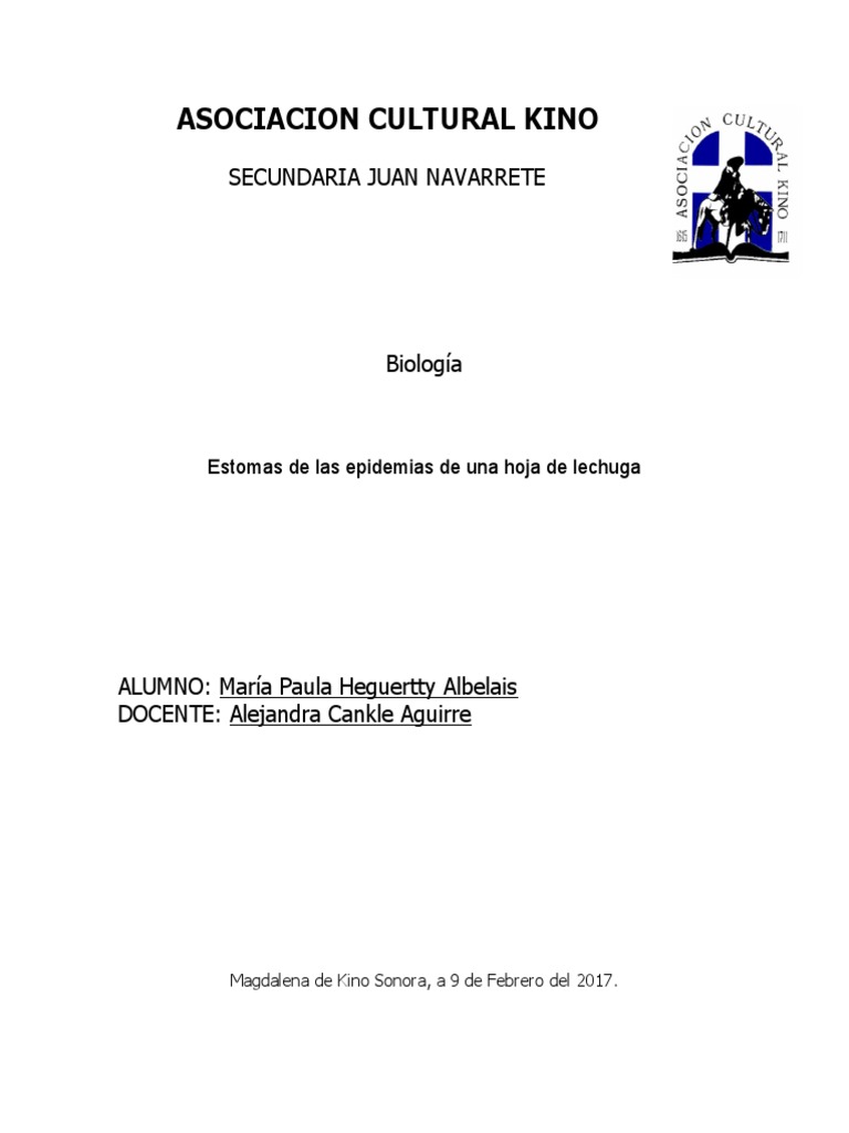 Observacion de Estomas Al Microscopio 3333333333 | PDF