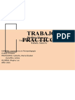 Sistema Urogenital