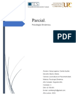 Parcial P.Dinamica - Hang Lagares - Comision2 - PSM