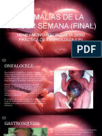 ANOMALIAS CONGENITAS (Final) Practica de Embriologia II 29302