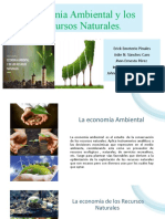 Economia Ambiental y de Los Recursos Naturales Grupo 1