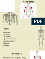 Humérus