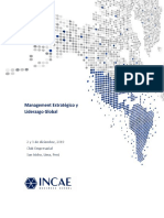 Información Complementaria Management Estrategico y Lider