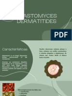 Blastomyces Dermatitides