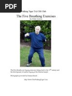 Download Tai Chi Breathing Exercises by Ganesh Babu SN6379026 doc pdf