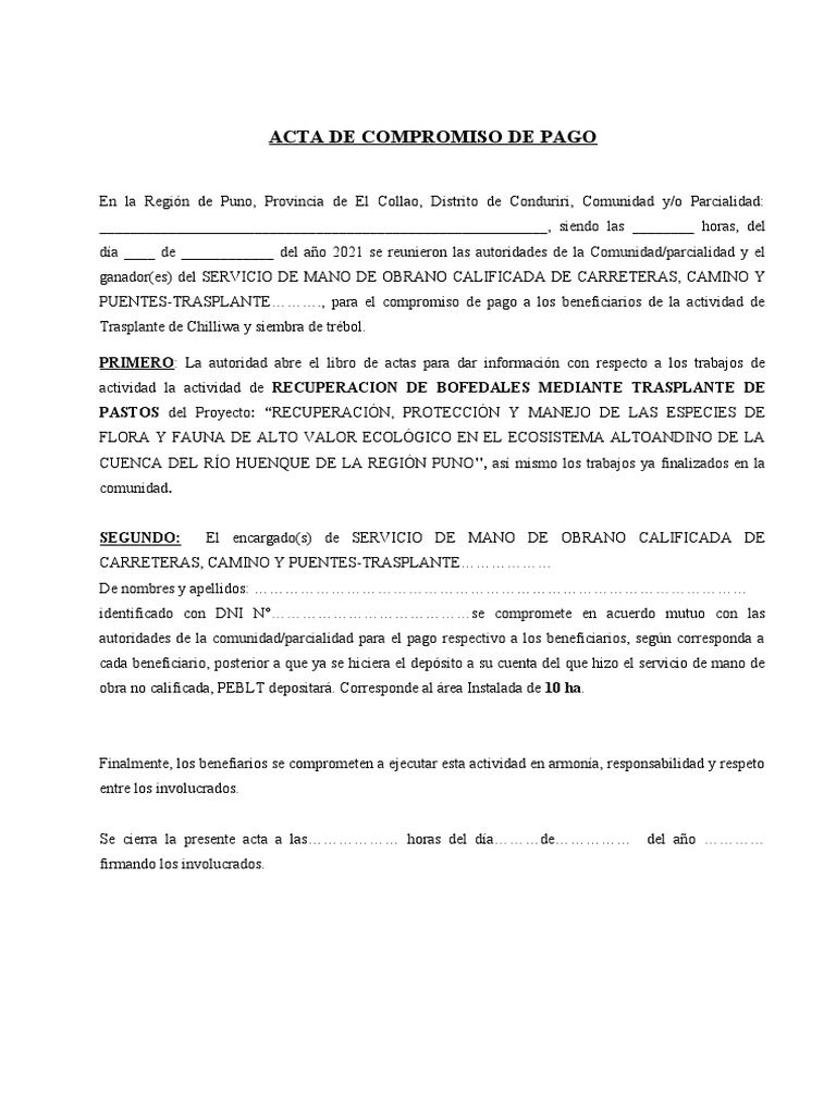 Acta de Compromiso de Pago en Puno | PDF | Finanzas y dinero