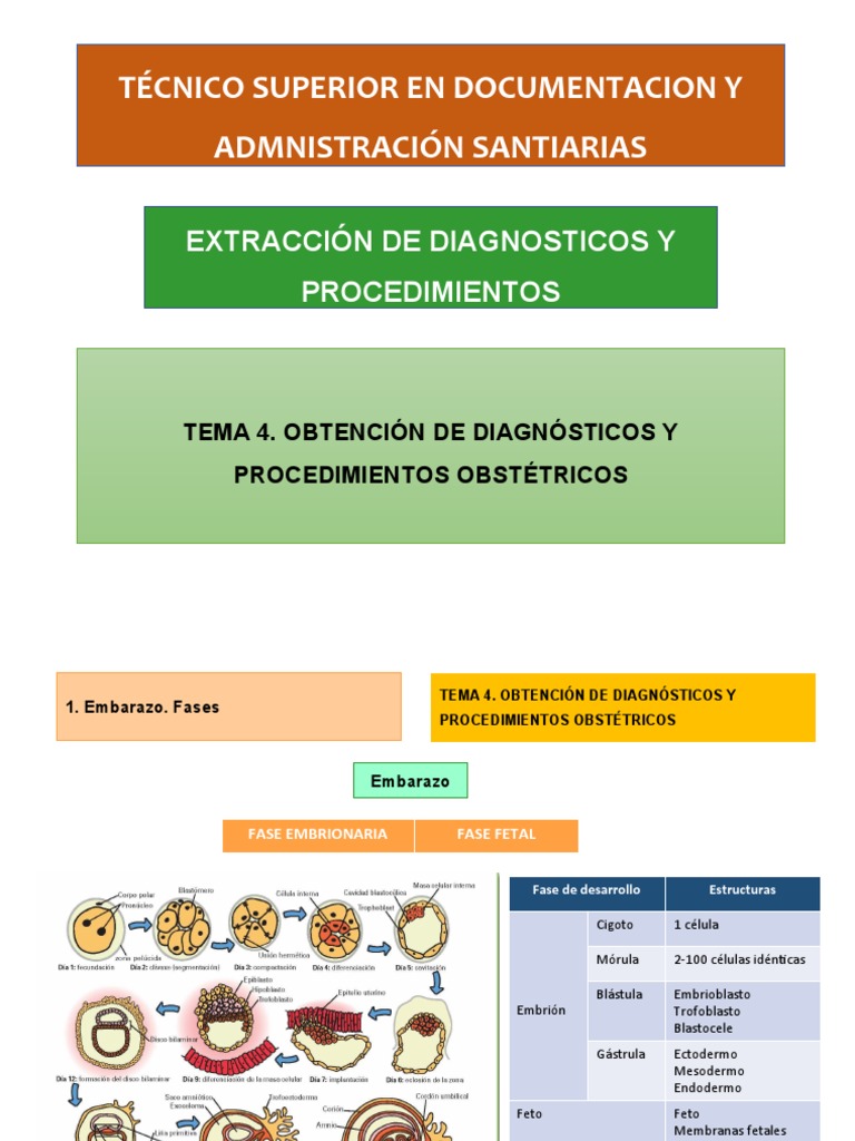Diagnósticos y procedimientos obstétricos | PDF | Parto | El embarazo