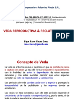 Veda Reproductiva & Reclutamiento: Servicios Empresariales Palomino Rincón S.R.L