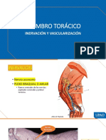 Irrigación e Inervación