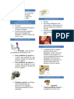 Anatomia da ATM em