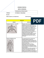 Informe 12 de Práctica Bentos Continental