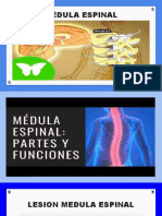 Clase Medula Espinal