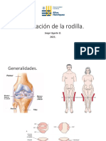 Evaluación Rodilla