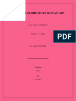 Glosario de Neuroanatomia: Alely Moya Rodriguez