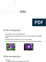 SMG