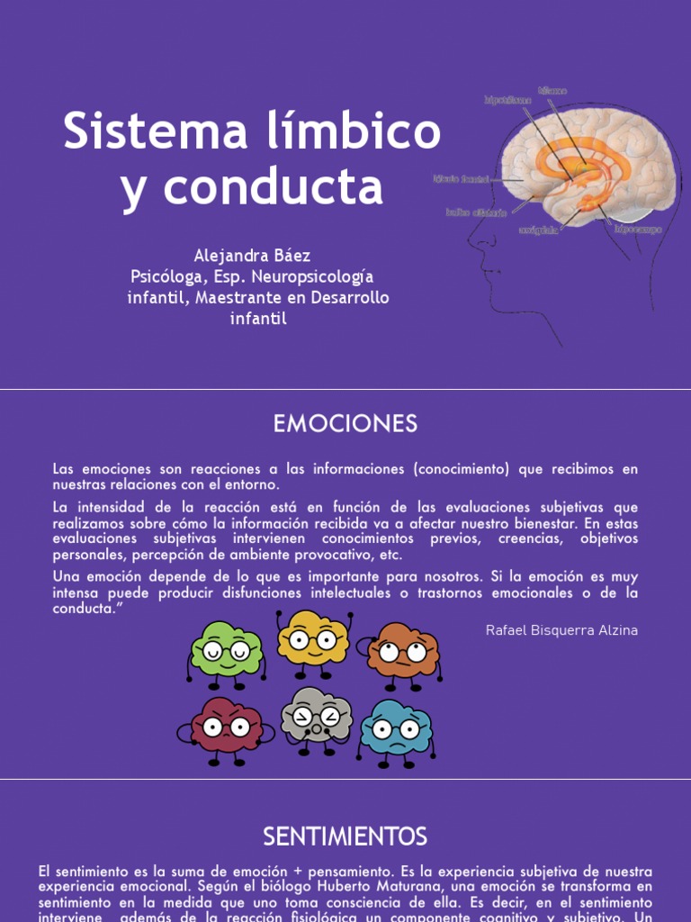 Sistema Límbico y Emociones | PDF | Las emociones | Estrés (biología)
