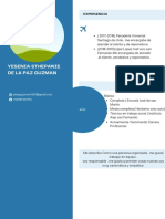 Canva CV Tiendas