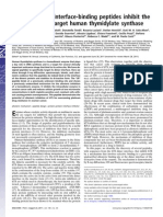 Protein Protein Interface-binding Peptides Inhibit the Cancer Therapy Target Human Thymidylate Synthase