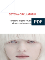 Sistema Circulatorio: Transporta Oxígeno y Nutrientes Además Expulsa Desechos