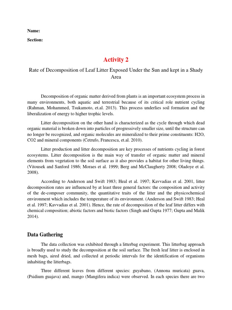 Leaf Litter Decomposition Rates Study | PDF | Ecosystem | Organic Matter