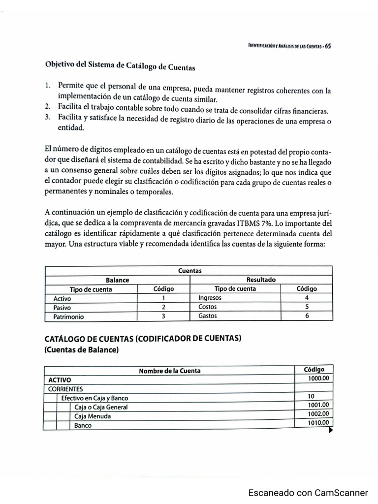 Copia | PDF