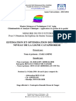 Estimation Et Optimisation Des Pertes Au Niveau de La Ligne Cataphorese