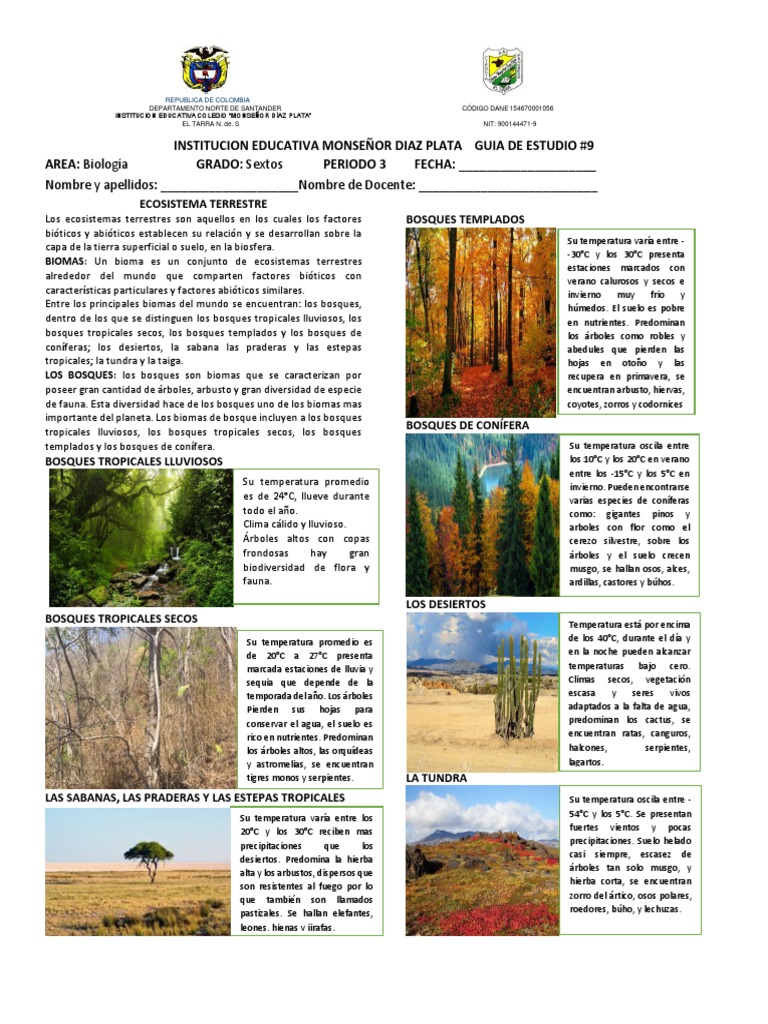 Biomas y ecosistemas terrestres | PDF | Ecosistema | Los bosques