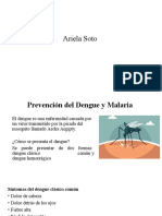 Prevencion Del Dengue y La Malaria