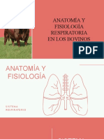 Sistemarespiratorio 200626231011