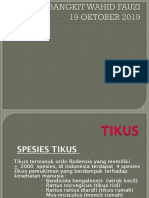 Teknik Pengukuran & Tikus