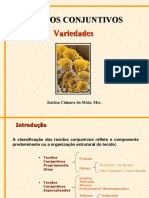 Aula 4 e 5 - Tecido Conjuntivo Células