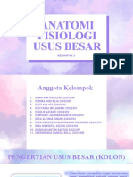 Anatomi Usus Besar Kel 3