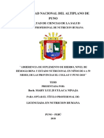 Universidad Nacional Del Altiplano de Puno: Facultad de Ciencias de La Salud