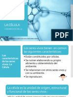 La Célula 3a 070223