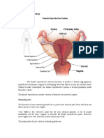 Anatomy and Physiology Ovary