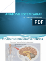 Anatomi Sistem Saraf: By: Retno Budi Setyowati Pertemuan I