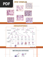 Alterações Morfológicas das Hemácias | PDF | Hemácia | Anemia
