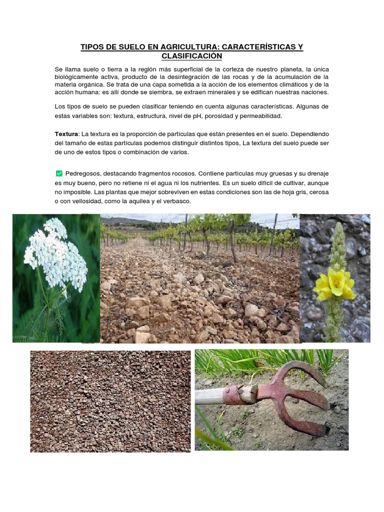 Tipos de Suelo en Agricultura | PDF