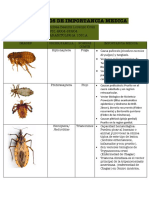Artropodos de Importancia Medica: Andrea Beatriz Lorenzo Cruz 1701-2004-00204 Parasitologia 1501A
