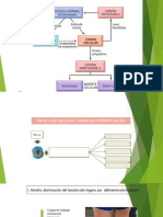 Lesion Celular 
