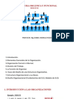 Sesion 02 ESTRUCTURA ORGÁNICA Y FUNCIONAL