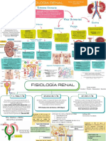 Anatomía y fisiología renal: Sistema urinario y nefrona
