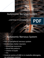 Autonomic Nervous System: and How It Maintains Homeostasis