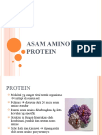 Asam Amino Dan Protein