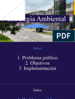 2022 10 20 Estrategia Ambiente 2002-2